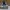 Converse Skater Casual Sneakers Pria white black photo 4