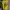 Nike Vintage Jersey Pria yellow photo 8