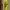 Nike Vintage Jersey Pria yellow photo 6