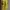 Nike Vintage Jersey Pria yellow photo 3