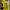 Nike Vintage Jersey Pria yellow photo 1