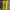 Nike Vintage Jersey Pria yellow photo 4