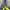 Mizuno Casual Windbreaker Pria yellow black photo 5