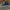 Converse Skater Casual Sneakers Pria navy photo 1