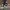 Converse Skater Casual Sneakers Pria navy photo 4