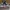 Converse Skater Casual Sneakers Pria navy photo 3