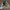 Converse Skater Casual Sneakers Pria green photo 5