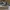 Converse Skater Casual Sneakers Pria green photo 3