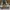 Converse Skater Casual Sneakers Pria green photo 4
