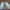 Fila Skater Casual Sneakers Pria white photo 4