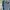 Lee Vintage Streetwear Denim jacket Pria blue photo 4