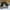 Puma Skater Casual Sneakers Pria white black photo 4