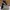 Puma Skater Casual Sneakers Pria white black photo 4