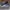 Puma Streetwear Casual Sneakers Pria green white photo 1