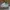 New Balance Sportswear Sneakers Pria white photo 1