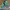 New Balance Sportswear Sneakers Pria green photo 5