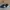 New Balance Sportswear Sneakers Pria navy photo 1