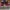 New Balance Streetwear Casual Sneakers Pria burgundy photo 3