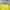 thisisneverthat Streetwear Casual Sweatshirt Pria green photo 5
