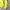 thisisneverthat Streetwear Casual Sweatshirt Pria green photo 2