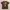 Y2K Indie T-shirt Pria Brown