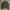 Japanese brand Vintage Streetwear Sweatshirt Pria green photo 1