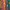 Coogi Casual Sweater Pria multicolor photo 2