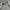 Burberry Casual Polo shirt Pria white photo 2