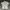 Burberry Casual Polo shirt Pria white photo 1