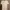 Luxury Casual Casual dress Wanita white photo 2