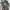 Fjällräven Streetwear Luxury Bag Pria green photo 1