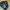 McGregor Casual Harrington jacket Pria multicolor photo 5