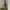 GU Casual Harrington jacket Pria multicolor photo 7