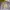 GU Casual Harrington jacket Pria multicolor photo 1