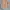Japanese brand Y2K Cosplay Cardigan Wanita brown photo 2