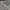 Y2K Fairy Cardigan Wanita white photo 3
