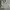Casual Sweatshirt Pria cream tan photo 1