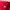 Adidas Sportswear Polo Shirt Pria Red