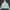 Uniqlo Sportswear Track jacket Wanita green photo 2