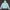 Uniqlo Sportswear Track jacket Wanita green photo 1