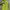 EXR Gorpcore Track Jacket Pria Green Yellow