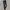Titleist Sportswear Track jacket Pria white photo 5
