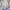 Casual Harrington jacket Pria cream photo 4