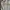 Levi's Streetwear Skater Denim Jacket Pria Cream Tan