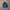 Nike Y2K Sportswear Windbreaker Pria navy photo 1