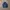 Nike Y2K Sportswear Windbreaker Pria Navy