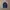 Nike Y2K Sportswear Windbreaker Pria navy photo 8