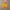 Vintage Windbreaker Pria yellow photo 1