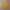 Vintage Windbreaker Pria yellow photo 8