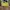 Casual Shoulder bag Wanita yellow photo 1